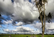 极速电竞-蒂姆连续十五场比赛得分超过势不可挡，雄鹿挑战极限！的简单介绍